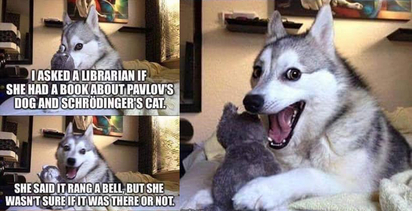 Just a bit of librarian humor to brighten your day…. 🤣