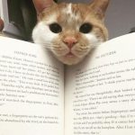 Cutest distraction ever… ❤