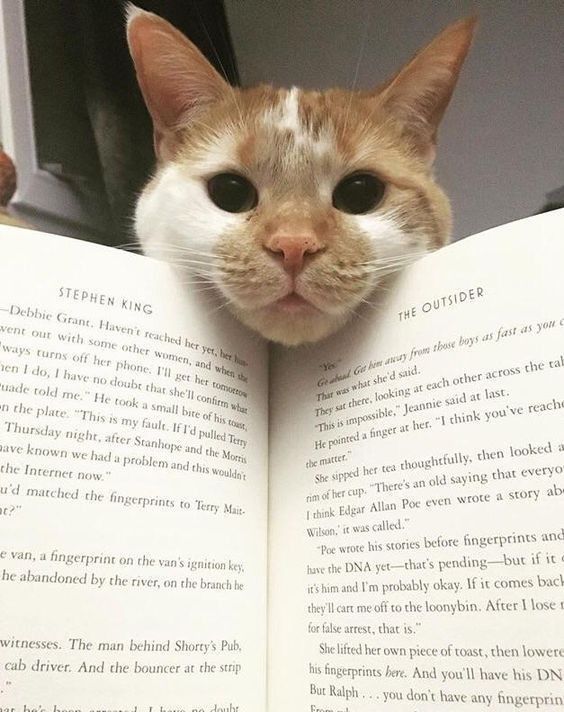 Cutest distraction ever… ❤