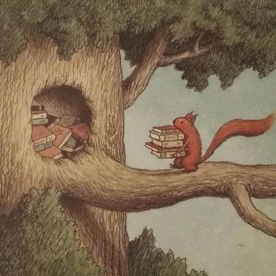 It’s not hoarding if it’s Books! 📚💕