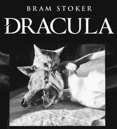 A Classic to read this #Halloween! 🦇😂