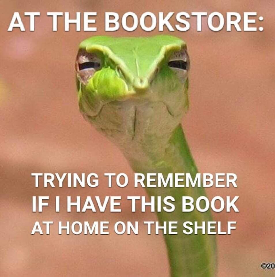 Looks familiar? 🤓🤭