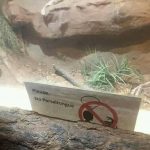 Sssaysss whooo? 🐍 🤣