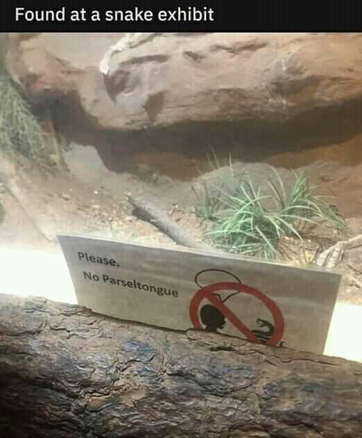 Sssaysss whooo? 🐍 🤣