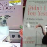 Wrong place to put a sticker‼ 😂