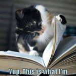 Suddenly everything makes sense… 😂