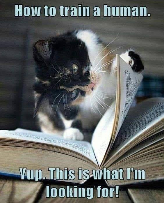 Suddenly everything makes sense… 😂