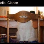 Literally spit out my coffee, I laughed so hard!