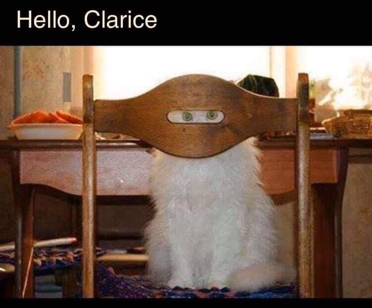 Literally spit out my coffee, I laughed so hard!