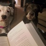 It’s very hard to read while you are being watched 😆