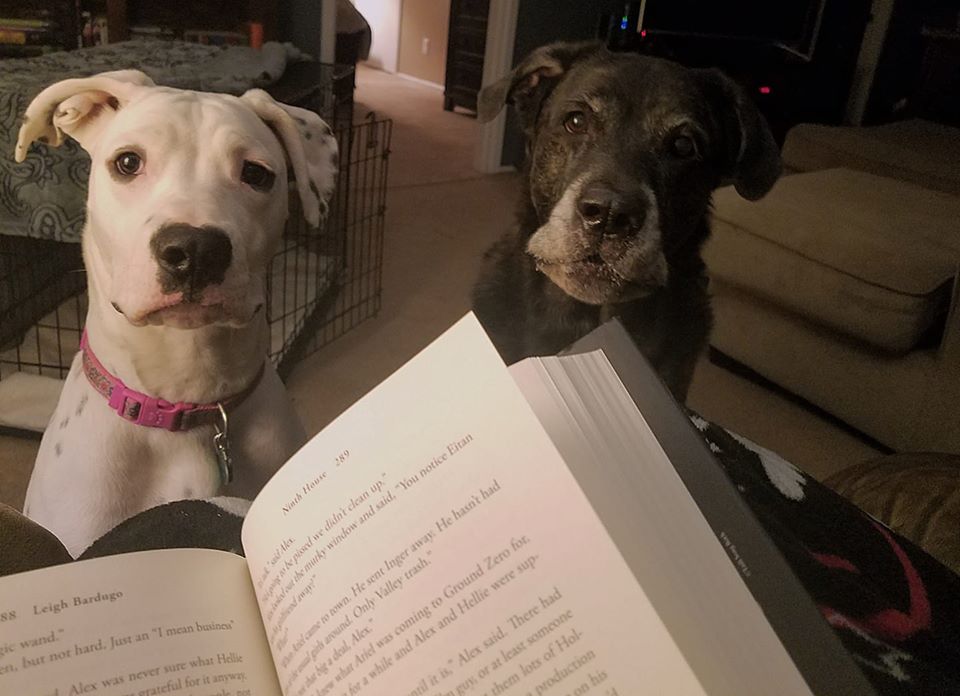 It’s very hard to read while you are being watched 😆