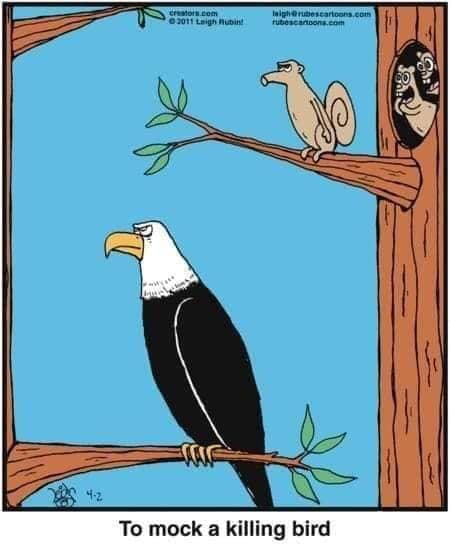 Literally spit out my coffee, I laughed so hard! 😂