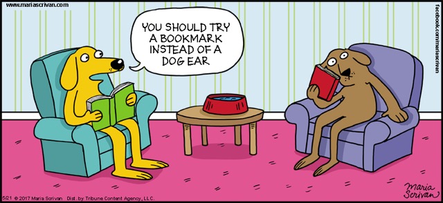 Literally spit out my coffee and laughed so hard! 🤣