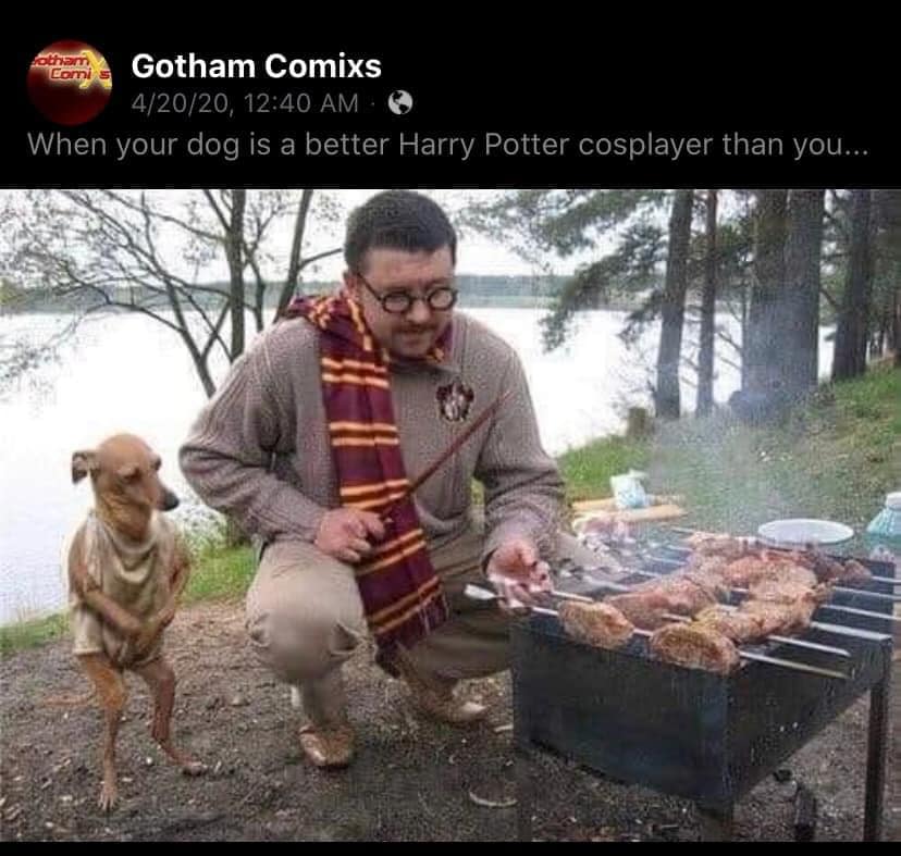 I almost spit my coffee out on my screen laughing at this one‼🤣