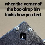 Guaranteed mood booster! 🤣