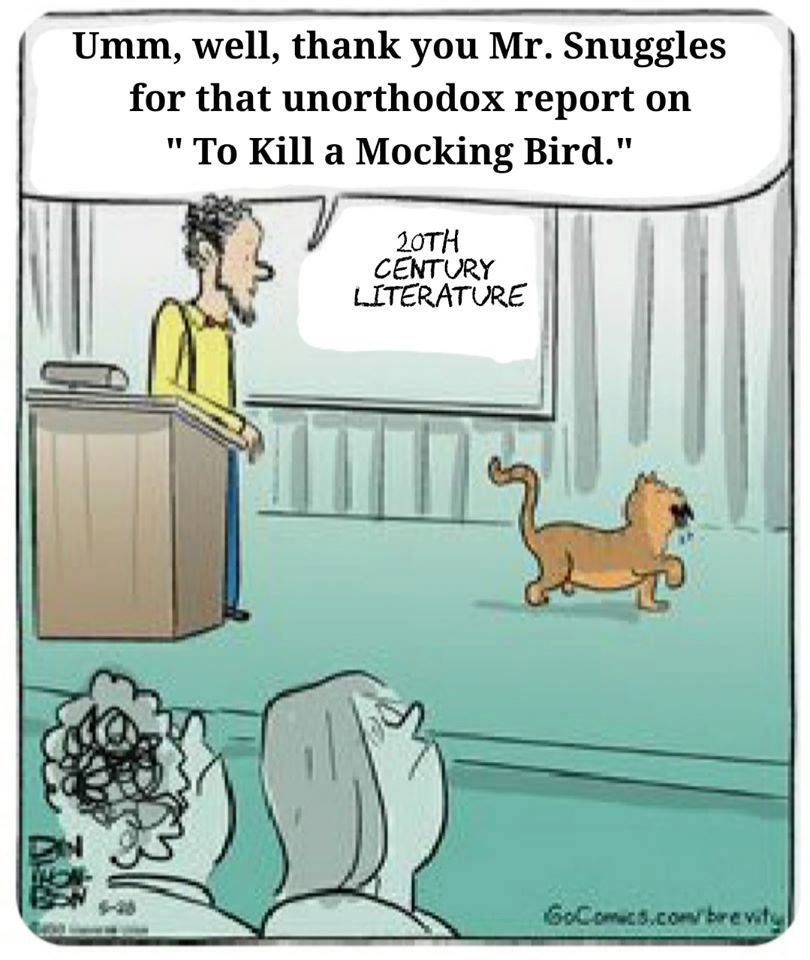 He never read the book I guess! 😹