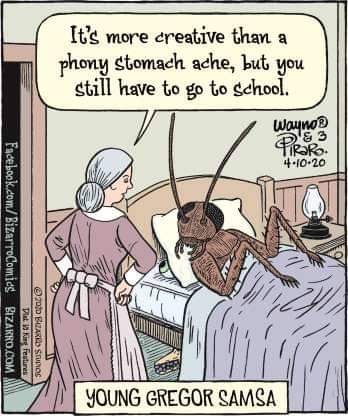 No excuse for missing school 🤣