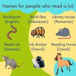 I prefer Book Dragon in any language! 📚🐉😉