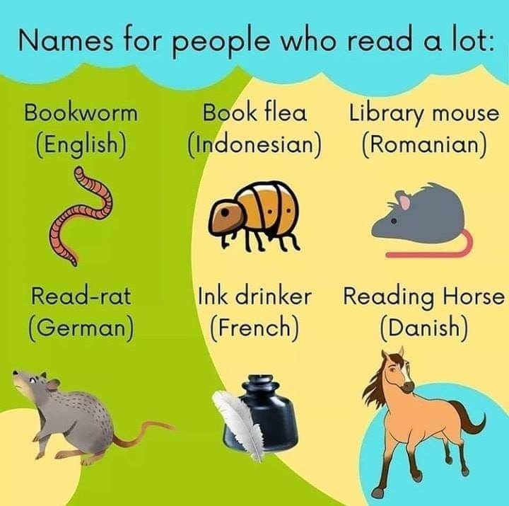 I prefer Book Dragon in any language! 📚🐉😉