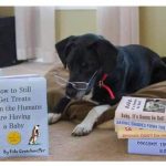 How clever is this dog? 😂