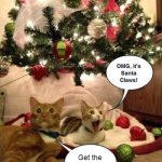 Happy Holidays from your friends at Free-eBooks.net