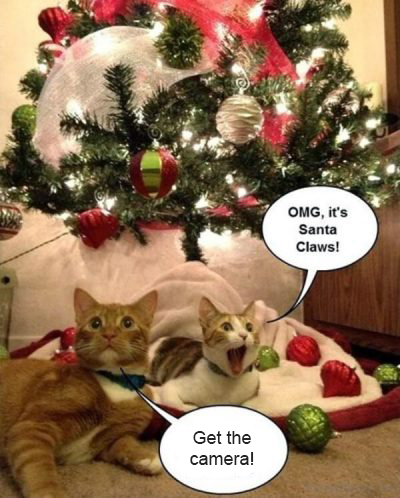 Happy Holidays from your friends at Free-eBooks.net