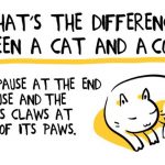 How lovely is this? 😻