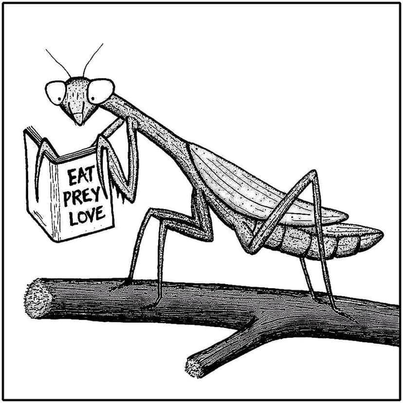 One book, yet so many different interpretations! 🤣