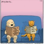 This explains a lot… I’m more of a cat person! 😹