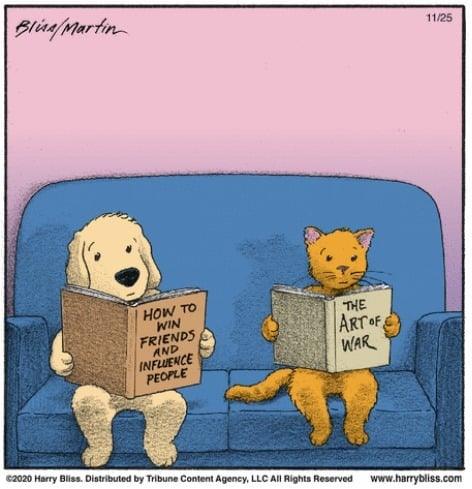 This explains a lot… I’m more of a cat person! 😹