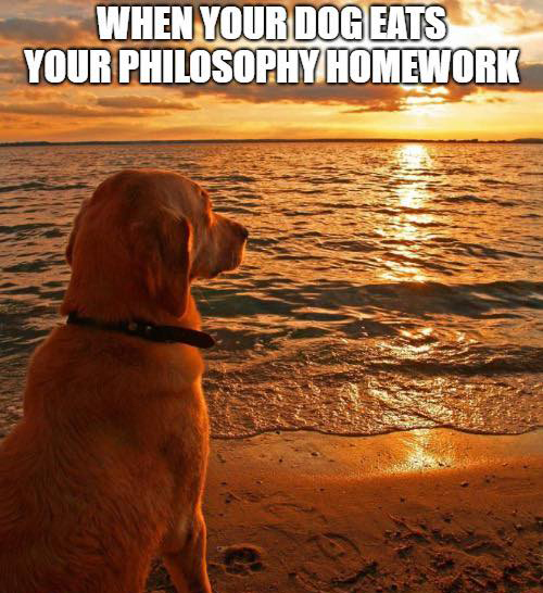 Cute and funny at the same time!!! 😆