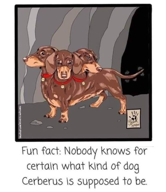 Can you imagine if chihuahuas were the size of Fluffy? 🤣