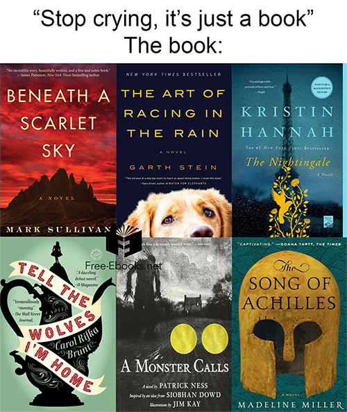 Have you ever cried over a book? 🥺