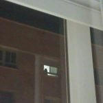 Gregor Samsa, is that you? 😂