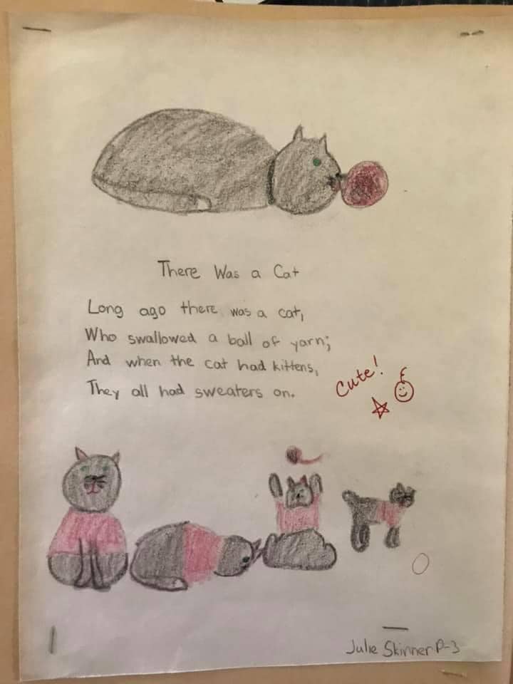 So cute and clever! 📚✍️😻