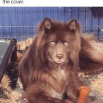 Fabio, is that you? 🤣