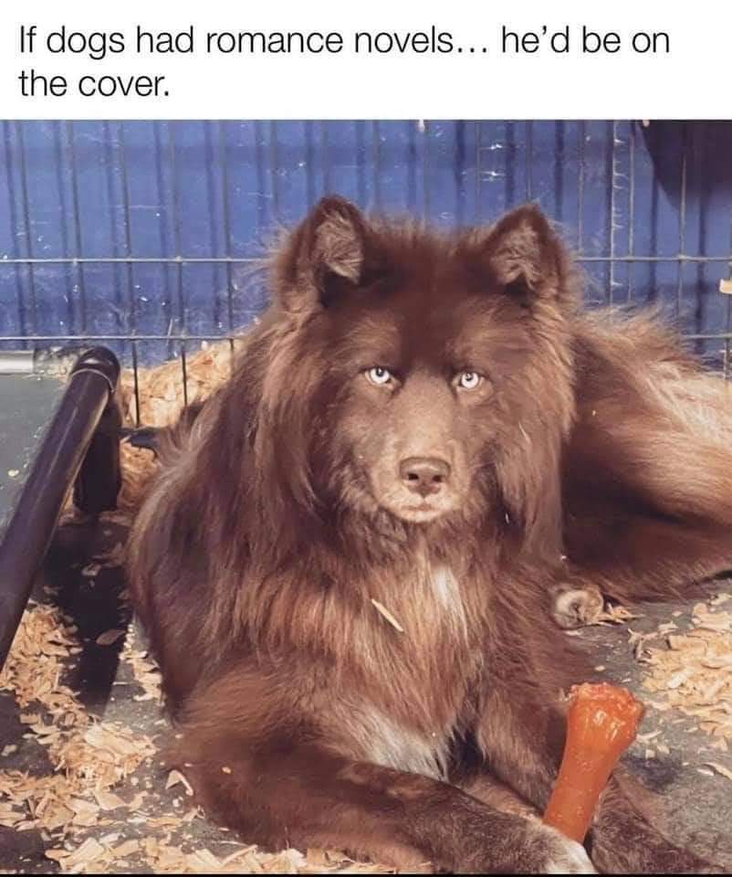 Fabio, is that you? 🤣