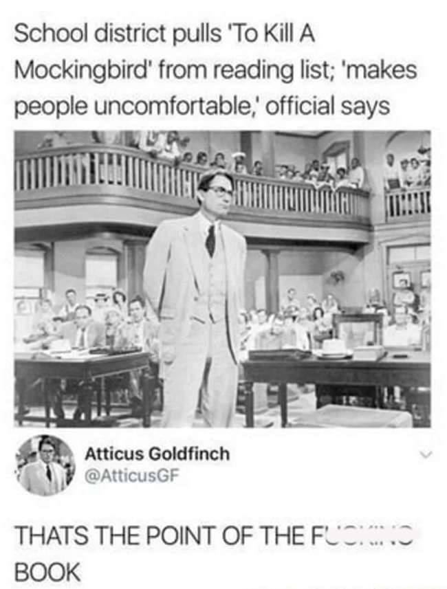 What do you think? 🤔