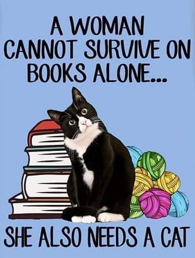 I couldn’t agree more! 😻