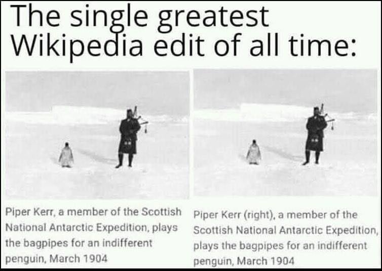 Well…can’t argue with that. 😂