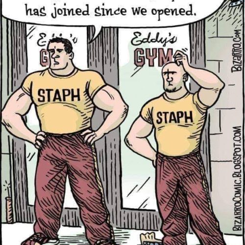 Spelling matters! 😂