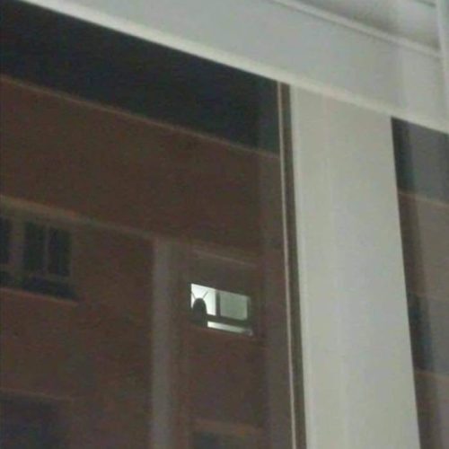 Gregor Samsa, is that you? 😂