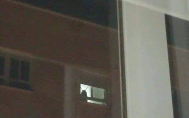 Gregor Samsa, is that you? 😂