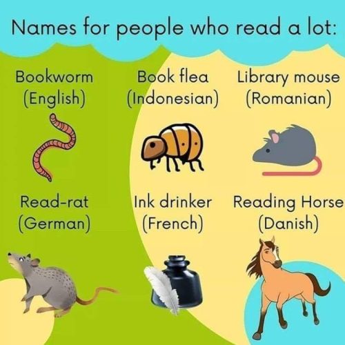 I prefer Book Dragon in any language! 📚🐉😉