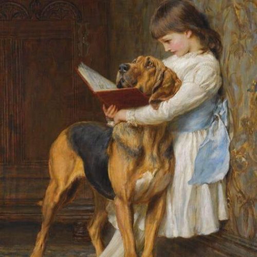 Me trying to get my friend to read! 😂