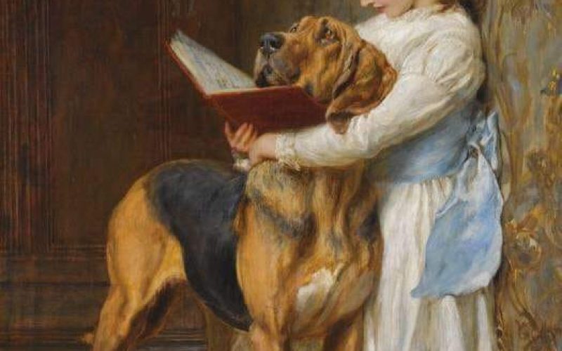 Me trying to get my friend to read! 😂