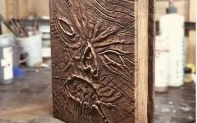 Sometimes you SHOULD judge a book by its cover.🤭