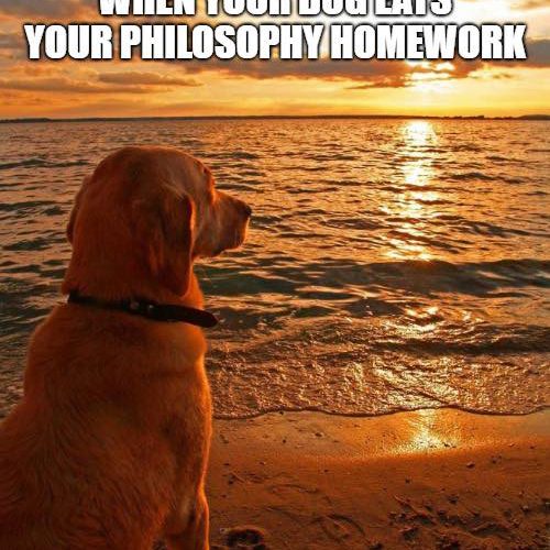 Cute and funny at the same time!!! 😆