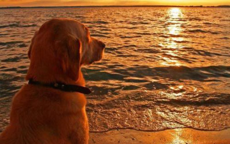 Cute and funny at the same time!!! 😆