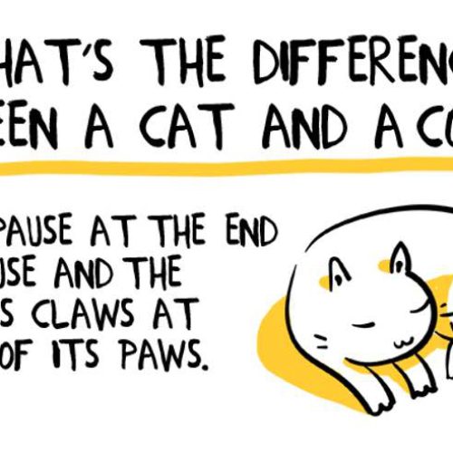 How lovely is this? 😻